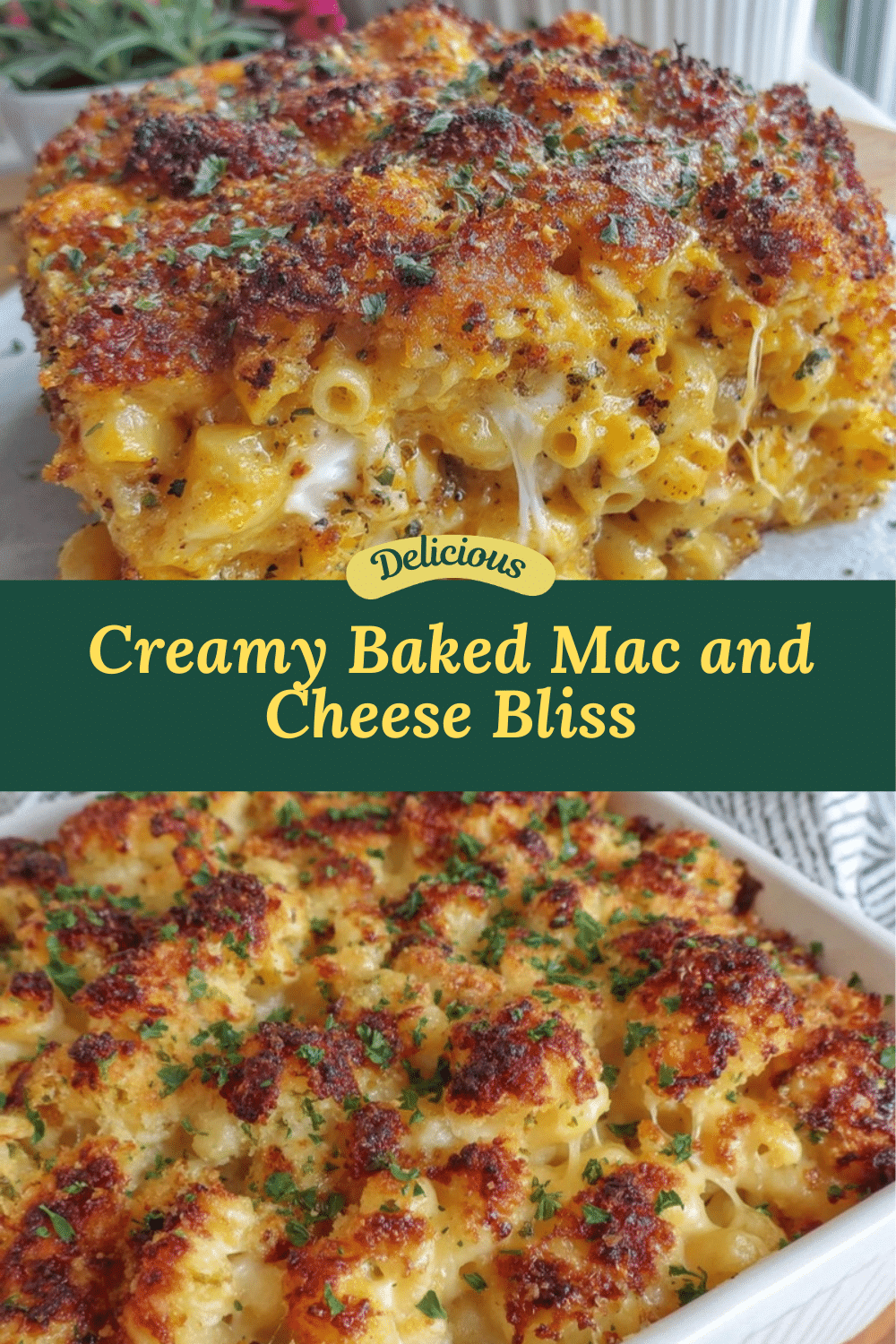 creamy baked mac and cheese recipe